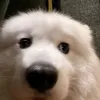 bbun_1412