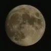 layayafedee