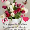chivis24296463