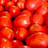 tomatoes.104