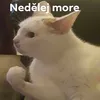 jsemgejxd