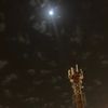kogh_a