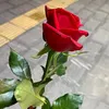 behnam332