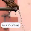 asmaanaanaa567