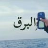 user690030391118