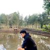 libraaaa_270