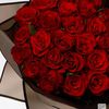 haya_alenzey3377