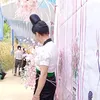 thanh.hoi.26sl