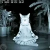 letruonghao4