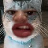 meerameerakelabualifbaba