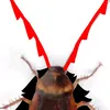 bfdifan_2