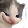 huynhkimngan208