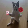 ututut._