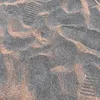 erleen_31