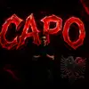 capo.nordflieger22