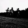 morok_ff_official