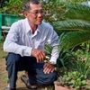 phanhong1999