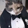 meow_meoww411