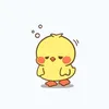 bil6o3
