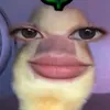leynurssob
