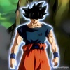 son_goku_the_warior