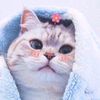 syaaaaaz_12