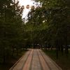 nils_308