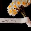 fatima.lzahraa.94