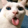 ing_836