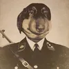 lilgator4