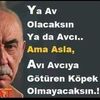 dezan__mamiki