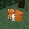 userklrplbx7zn