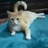 zahiazahia9934