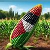 abdinoor060
