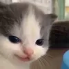 whenimetuinthesummee