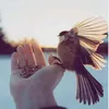 amamam_12345ma