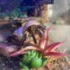 bigfatcrabber