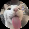 minhhhuan205_