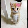 charm4nd3rr