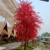 kochitlay479