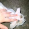_nodu_6