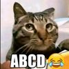ajayrisol