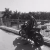 Thanh xuân 🐴