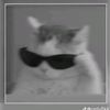 opalgz5