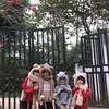 cucchidiep