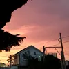 samkhailccaladan2