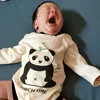 thanhgiadung88