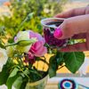lebneniyet_by_d.d