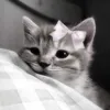 dangerous_931