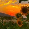 rozhgary_xam123
